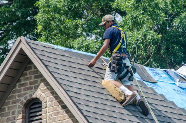Best Shingle Roofing Installation  in Liberty, UT